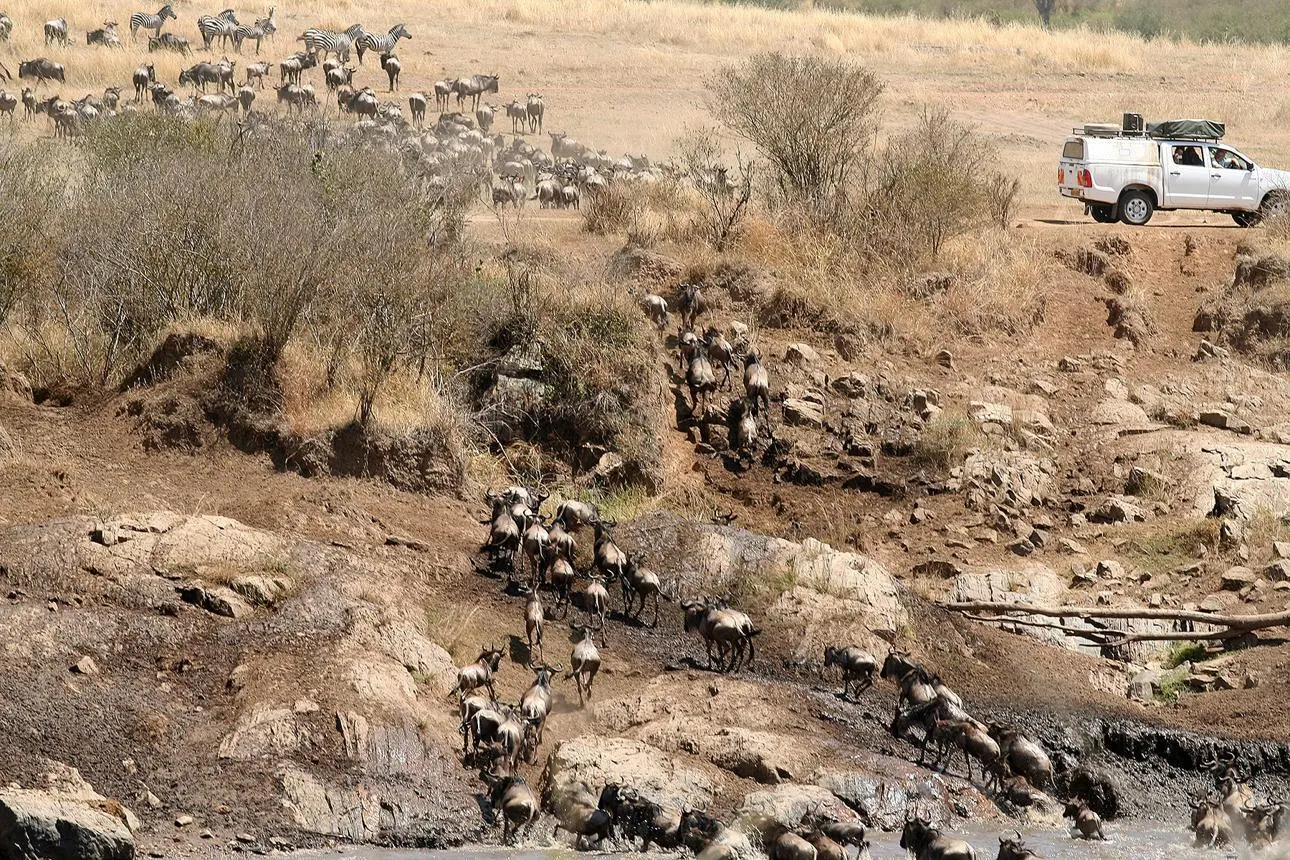 Kenya vs Tanzania Best Time to Visit - source photograph, page 6