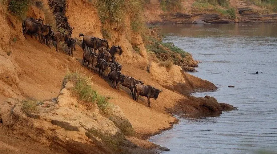 Kenya vs Tanzania Dry Season - source photograph, page 9