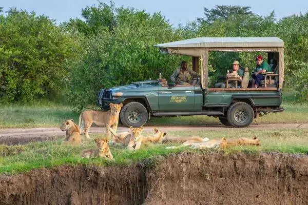 Kenya vs Tanzania Private Safaris - source photograph, page 1