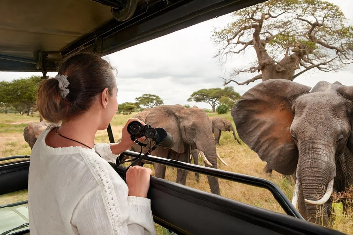 Kenya vs Tanzania Private Safaris - source photograph, page 3