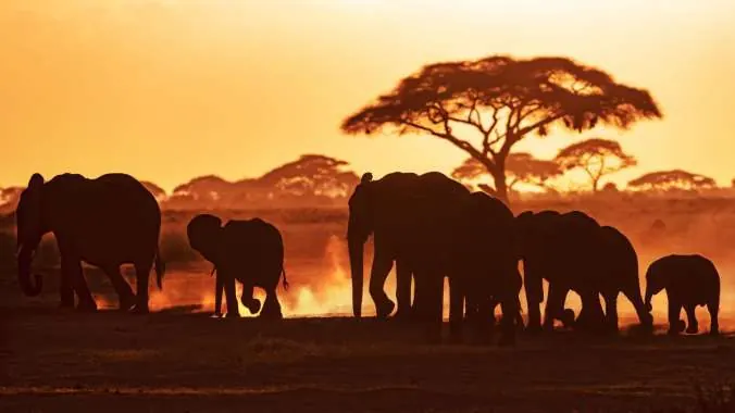 Kenya vs Tanzania Safari Camps - source photograph, page 6