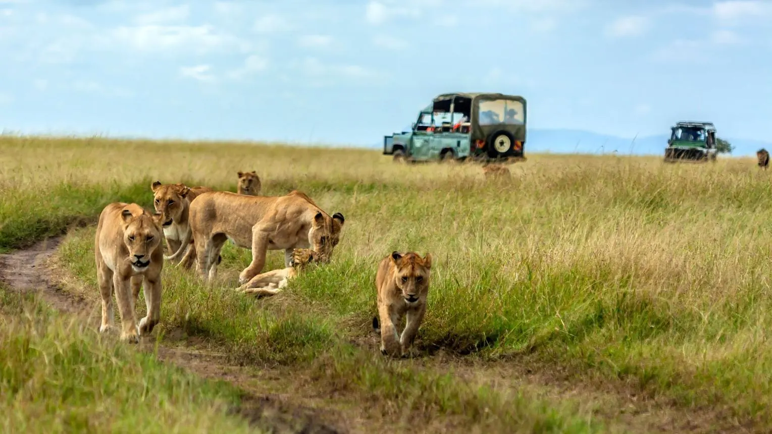 Kenya vs Tanzania Safari - source photograph, page 3