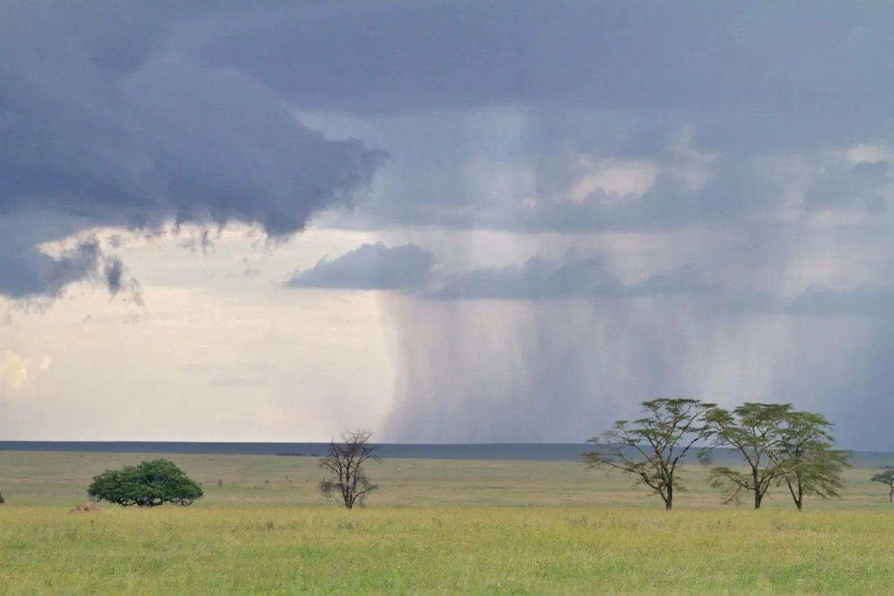 Kenya vs Tanzania Weather - source photograph, page 1