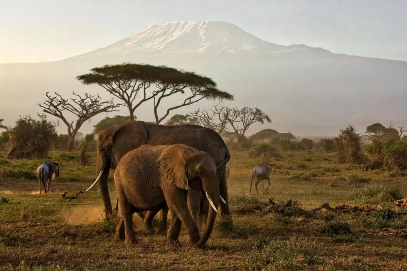 Kenya vs Tanzania Weather - source photograph, page 4