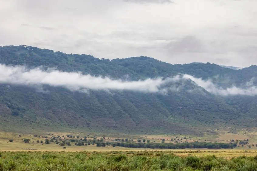 Kenya vs Tanzania Weather - source photograph, page 5
