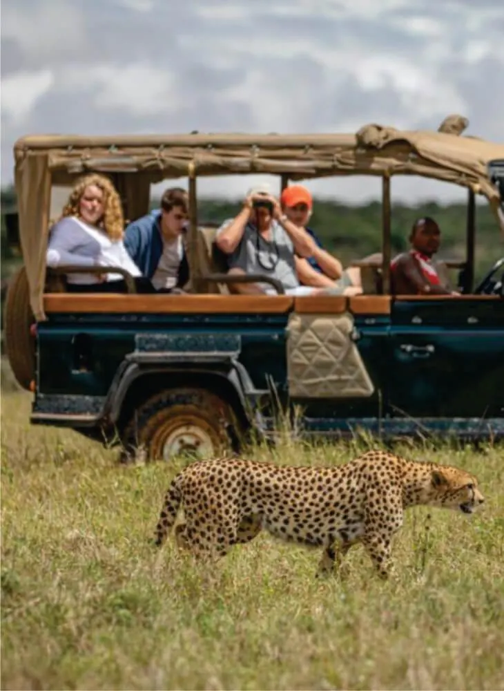 Kenya vs Tanzania - source photograph, page 6