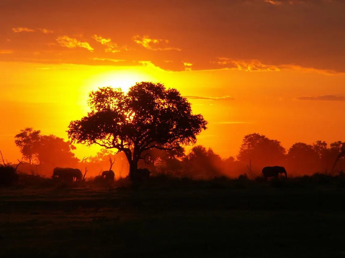 Budget Safari Operators - source photograph, page 8
