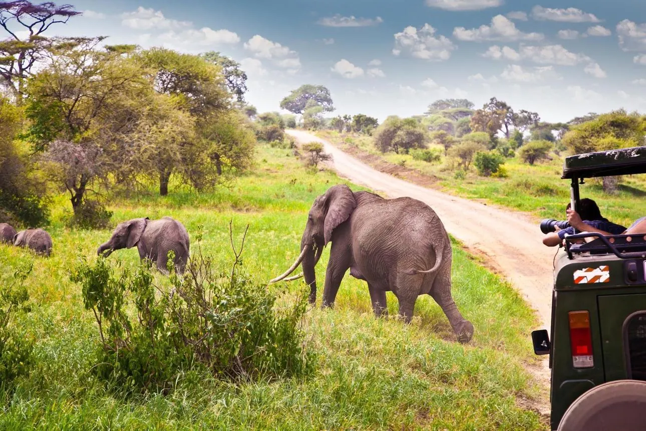 Safari Quality Depends on Your Tour Operator - source photograph, page 5