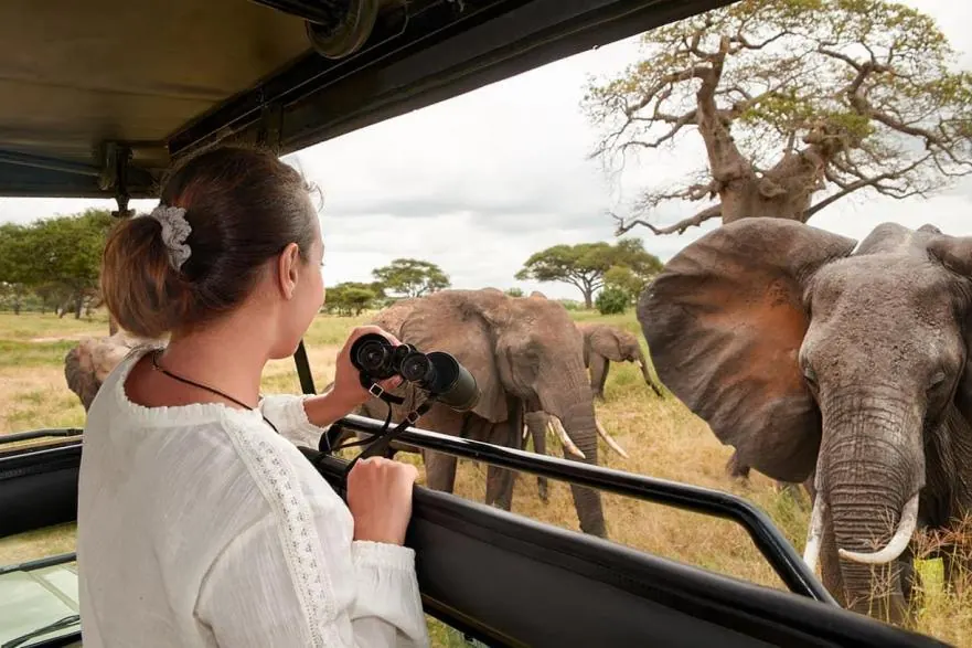The Importance of Choosing a Reliable Tour Operator - source photograph, page 5