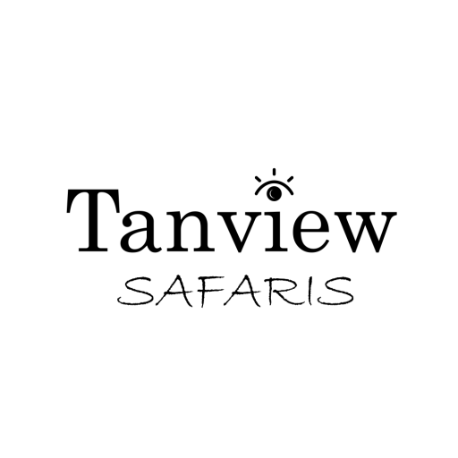 How Tanview Keeps Safari Days Flexible Without Losing Structure