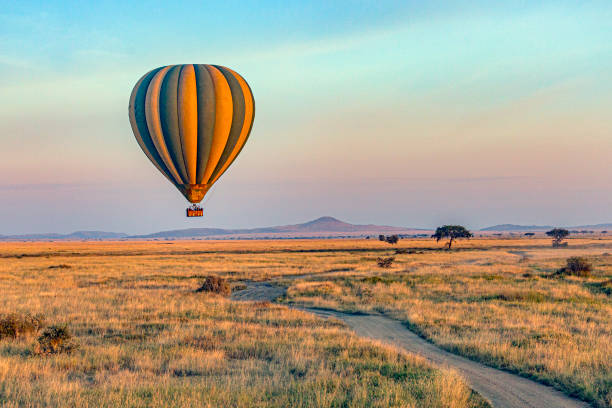 Tanview Check-In Rhythm During Safari: How the Trip Stays Aligned on the Road