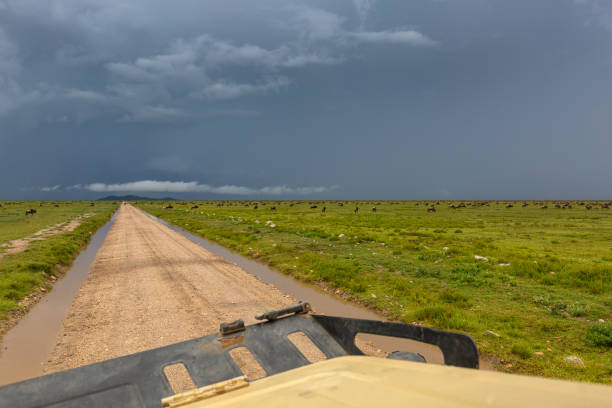 Farewell Tanzania