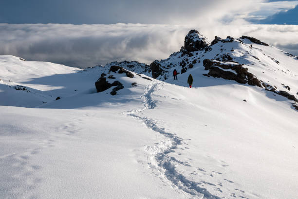 Kilimanjaro Camping vs Hut Routes: Which Style Fits Your Climb Better?