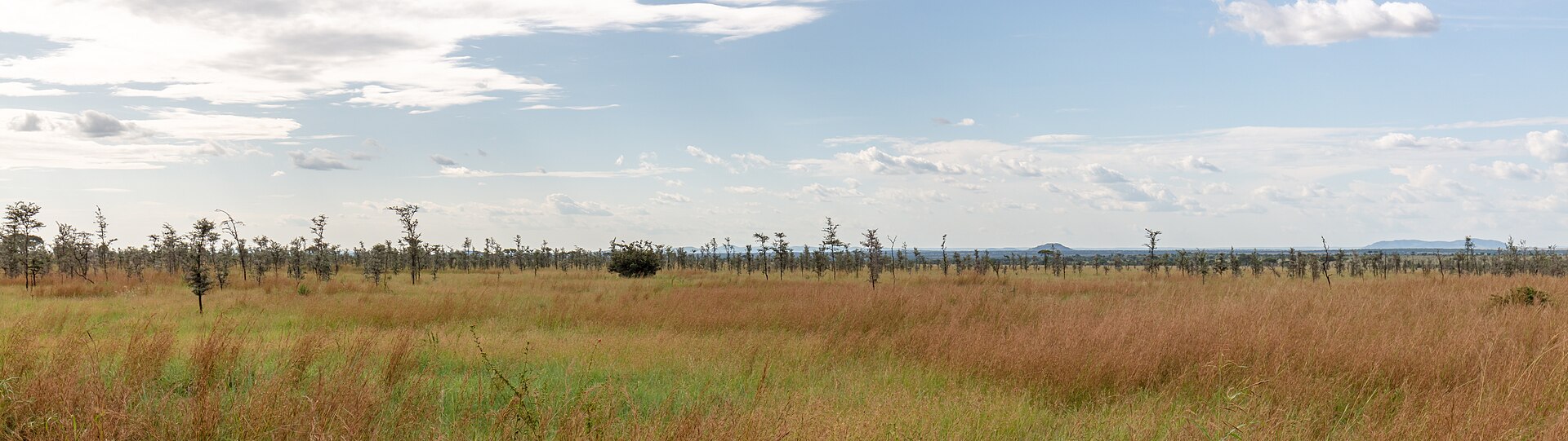 Serengeti safari planning image for a seven day Tanzania itinerary