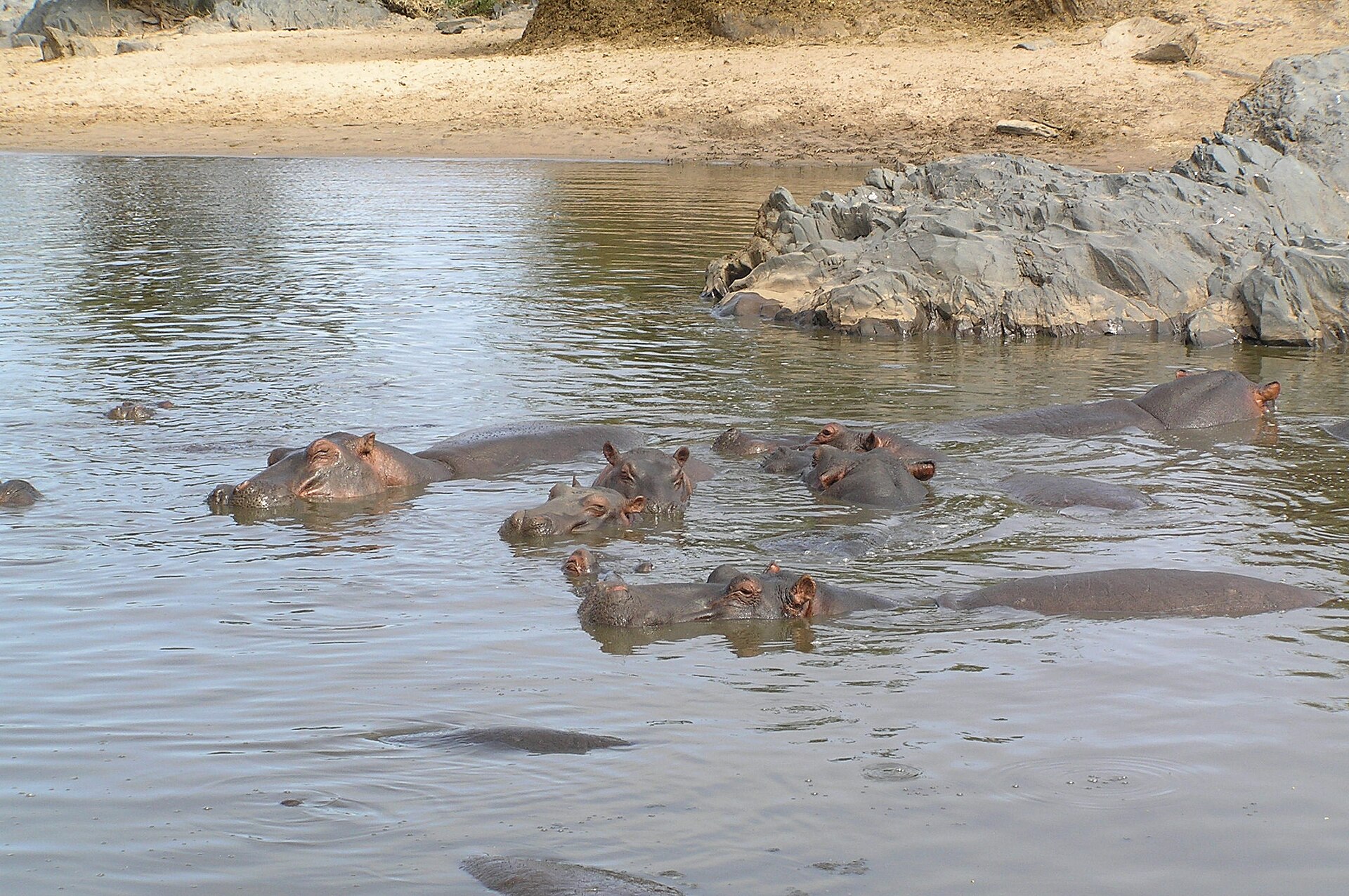 Real travel image for Private Serengeti Safari