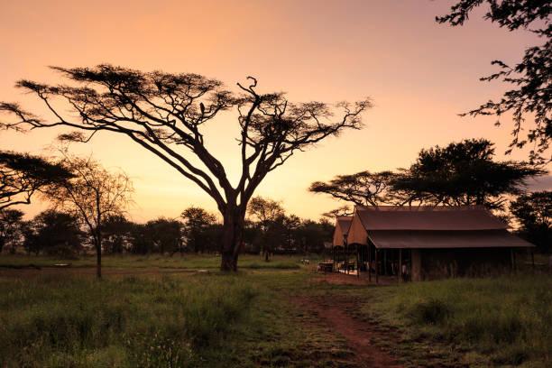 Safari lodge accommodation affecting Tanzania safari prices