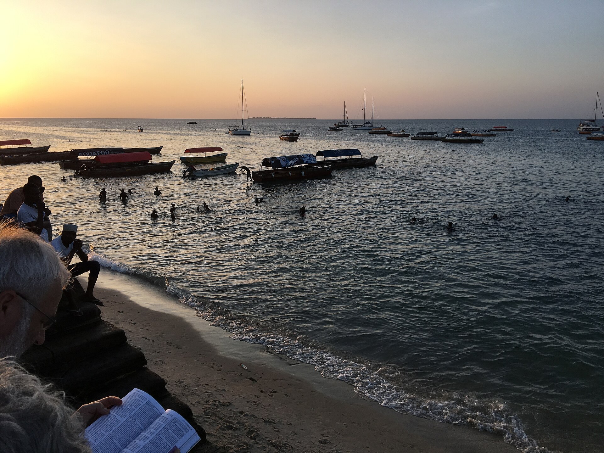 Tanzania safari and Zanzibar cost planning with wildlife and beach travel