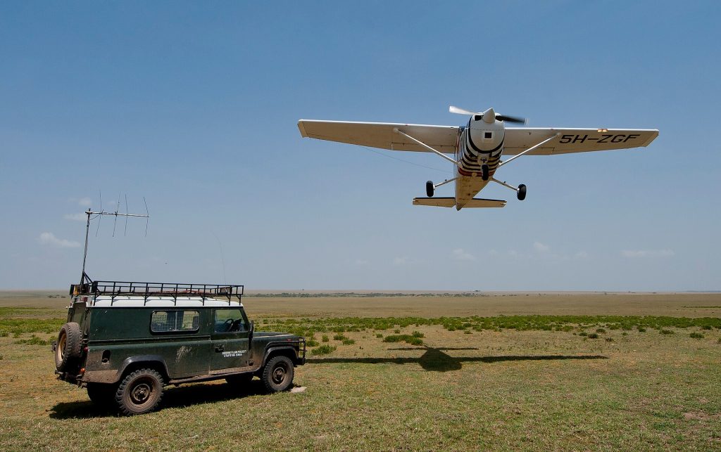 Real travel image for Tanzania Safari First Time Cost