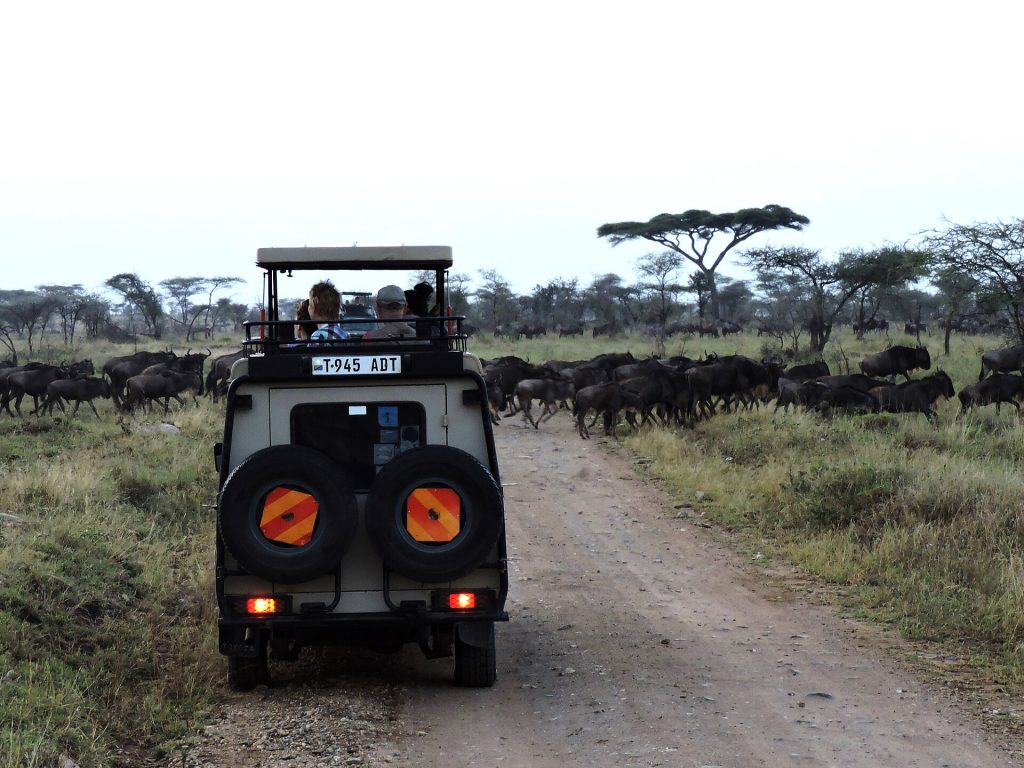 Real travel image for Tanzania Safari Planning Checklist