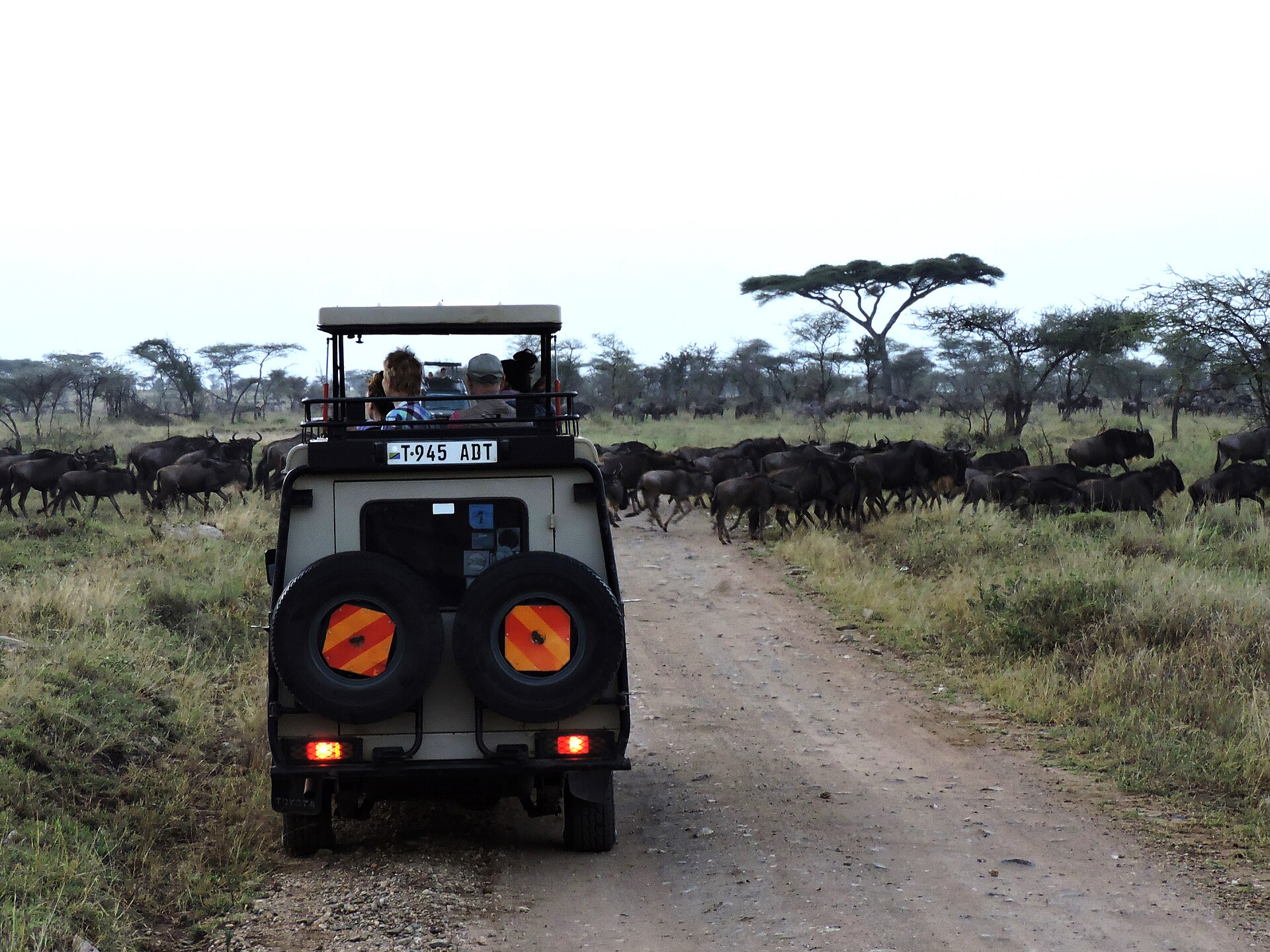 Real travel image for Tanzania Safari Planning Checklist