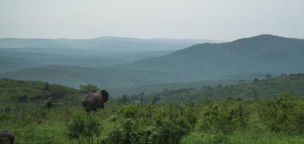 Tanview Safaris Instagram safari moment