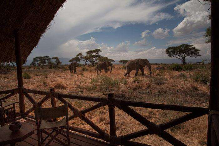 Tarangire Accommodation safari guide image from Tanview Safaris planning source